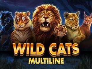 Wild Cats Multiline icon